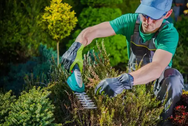 landscaping services Hallsville